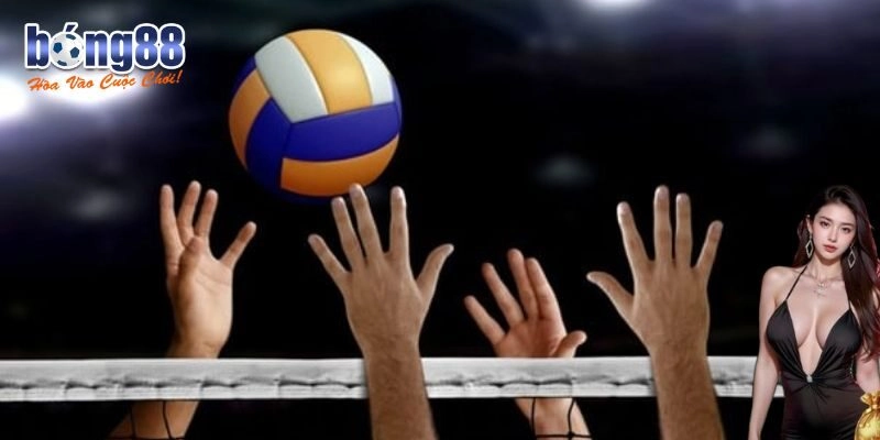 Cách chơi cá cược bóng chuyền đơn giản dễ hiểu