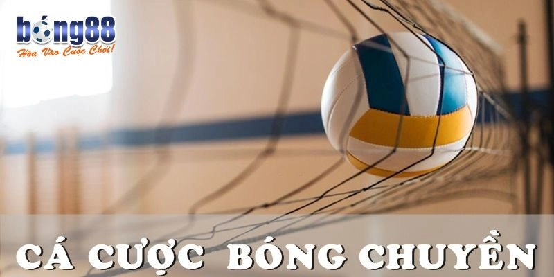 Kinh nghiệm chơi cá cược bóng chuyền từ cao thủ