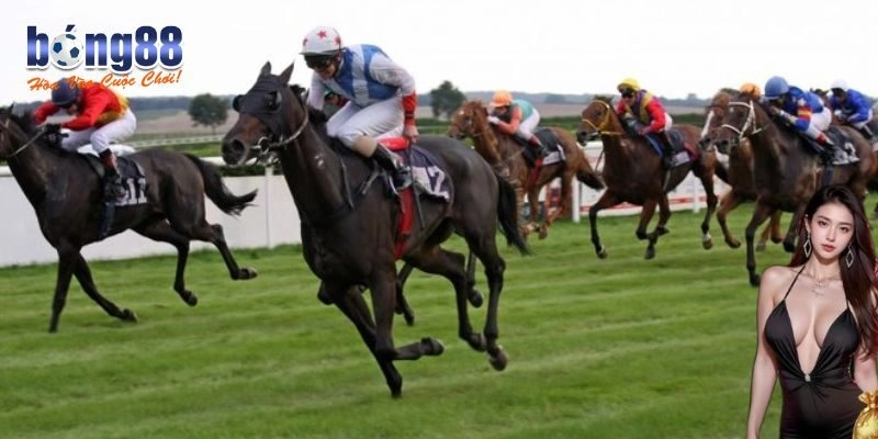 Mẹo hay giúp chơi cá cược đua ngựa dễ thắng lớn