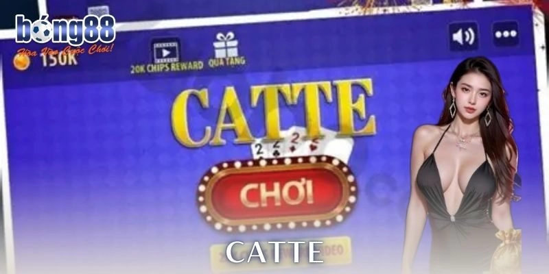 Catte là gì và tại sao nó thu hút