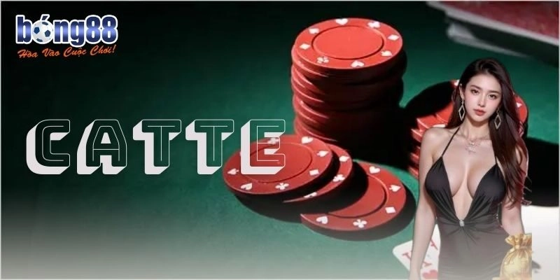 Catte Bong88