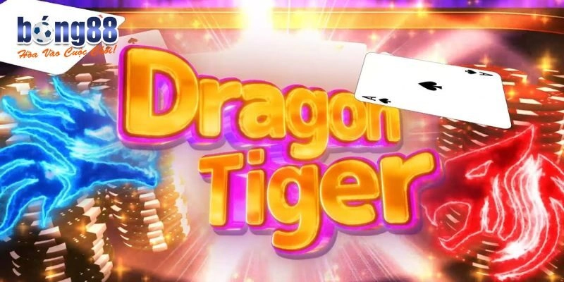 Dragon Tiger là gì? 