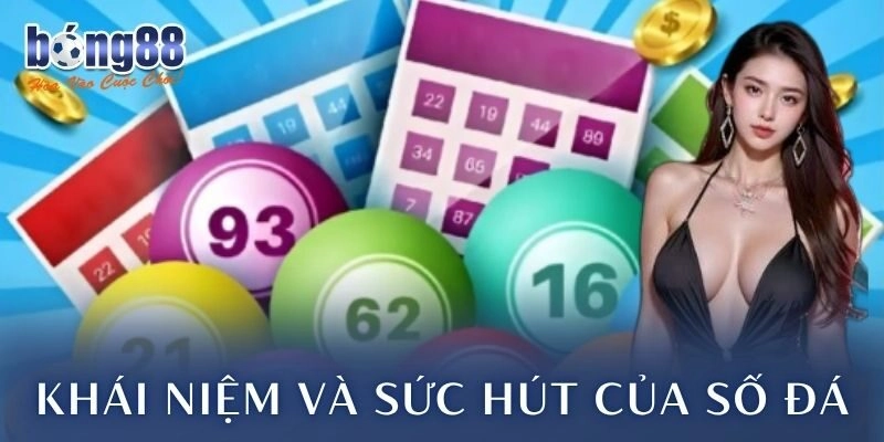 Khái niệm và sức hút của số đá